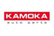 KAMOKA (Польша)