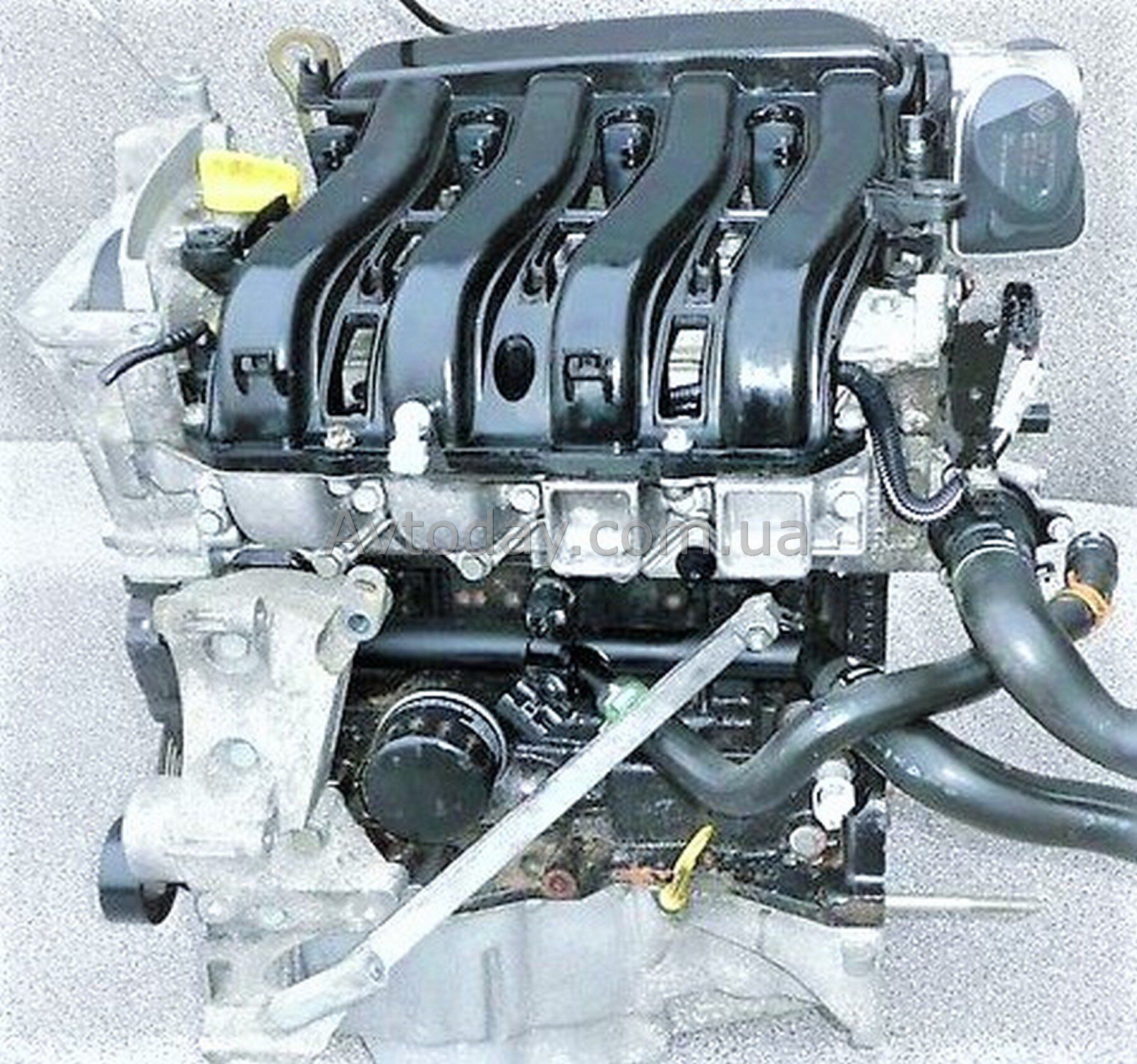 Двигатель к4м 1.6 16 купить. Renault k4m 1.6 л 16 клапанов. Двигатель Рено Меган 1.6 16 клапанов. Двигатель Рено 1 6 16кл. Двигатель Renault 1.6 (k4m.